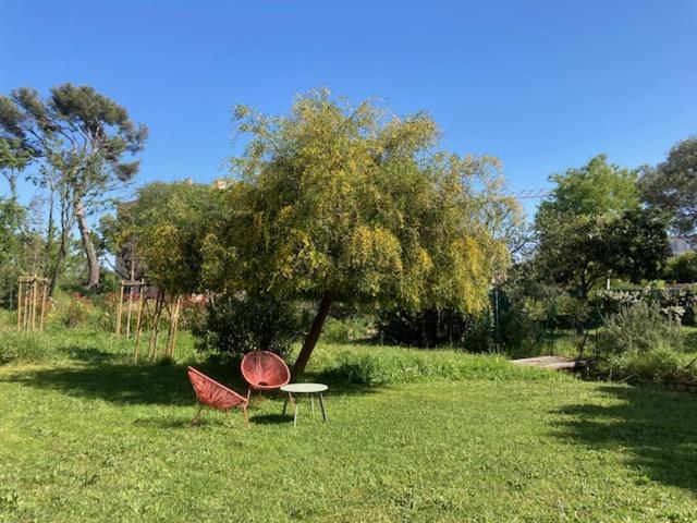 Un Jardin Dans La Ville ラシオタ エクステリア 写真